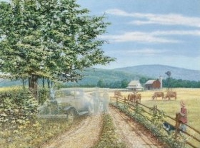 Picture